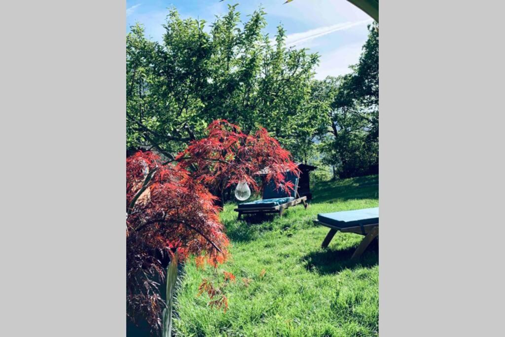 Appartamento 2P Au Coeur Des Montagnes Avec Piscine Chauffee Puget-Théniers Esterno foto