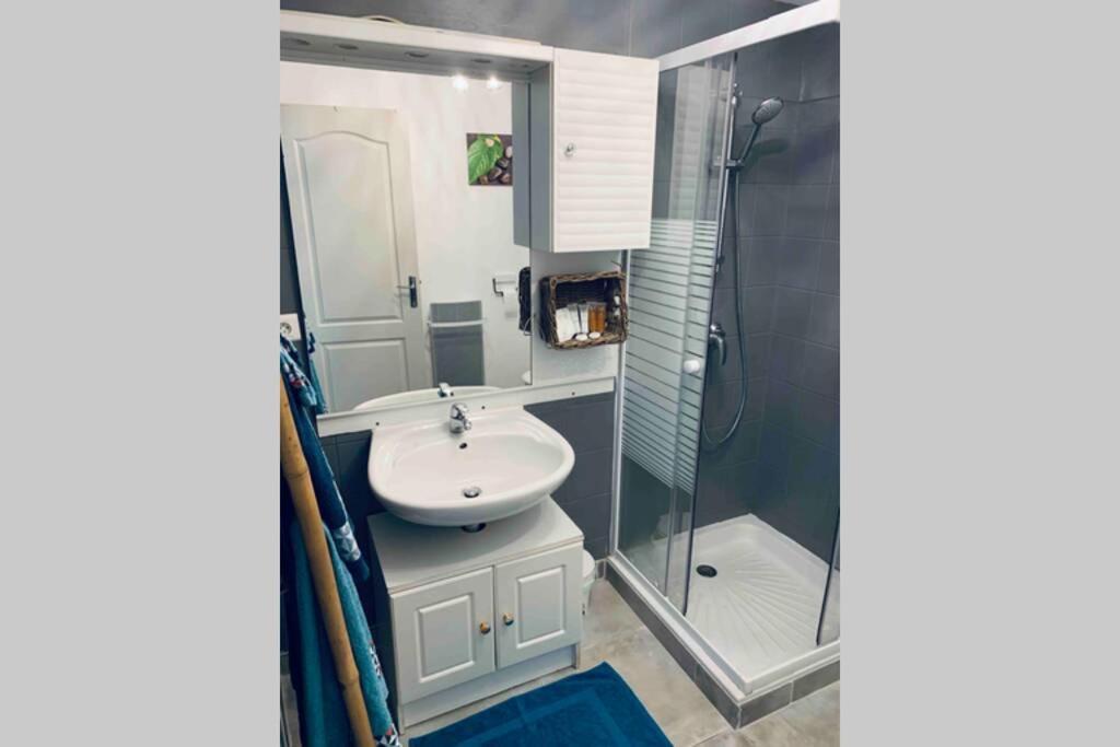 Appartamento 2P Au Coeur Des Montagnes Avec Piscine Chauffee Puget-Théniers Esterno foto