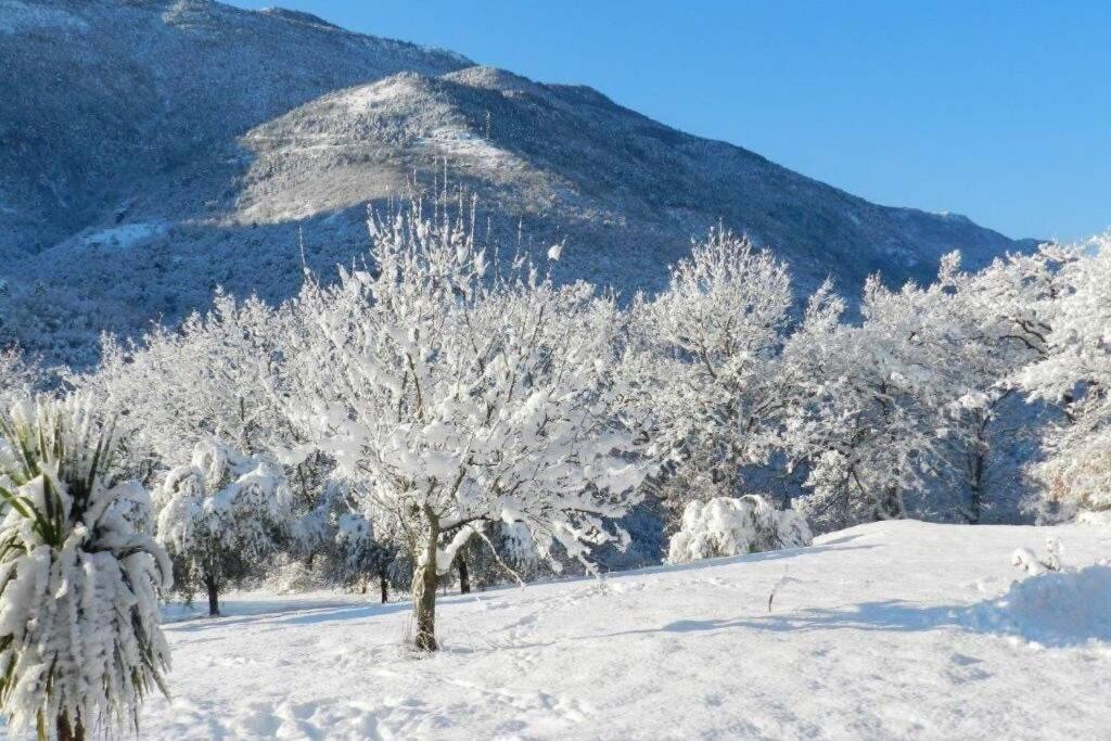 Appartamento 2P Au Coeur Des Montagnes Avec Piscine Chauffee Puget-Théniers Esterno foto