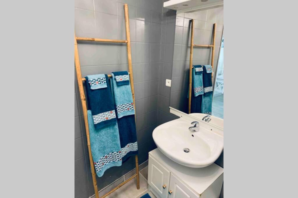 Appartamento 2P Au Coeur Des Montagnes Avec Piscine Chauffee Puget-Théniers Esterno foto
